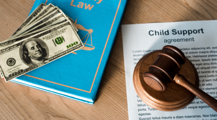 aita for refusing to pay child support until my rights are established