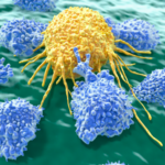 Fine-Tuning The Immune Response: How Does A Lymphocyte Exhibit Immunocompetence?