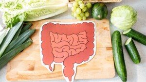 wellhealthorganic.com simple ways to improve digestive system in hindi