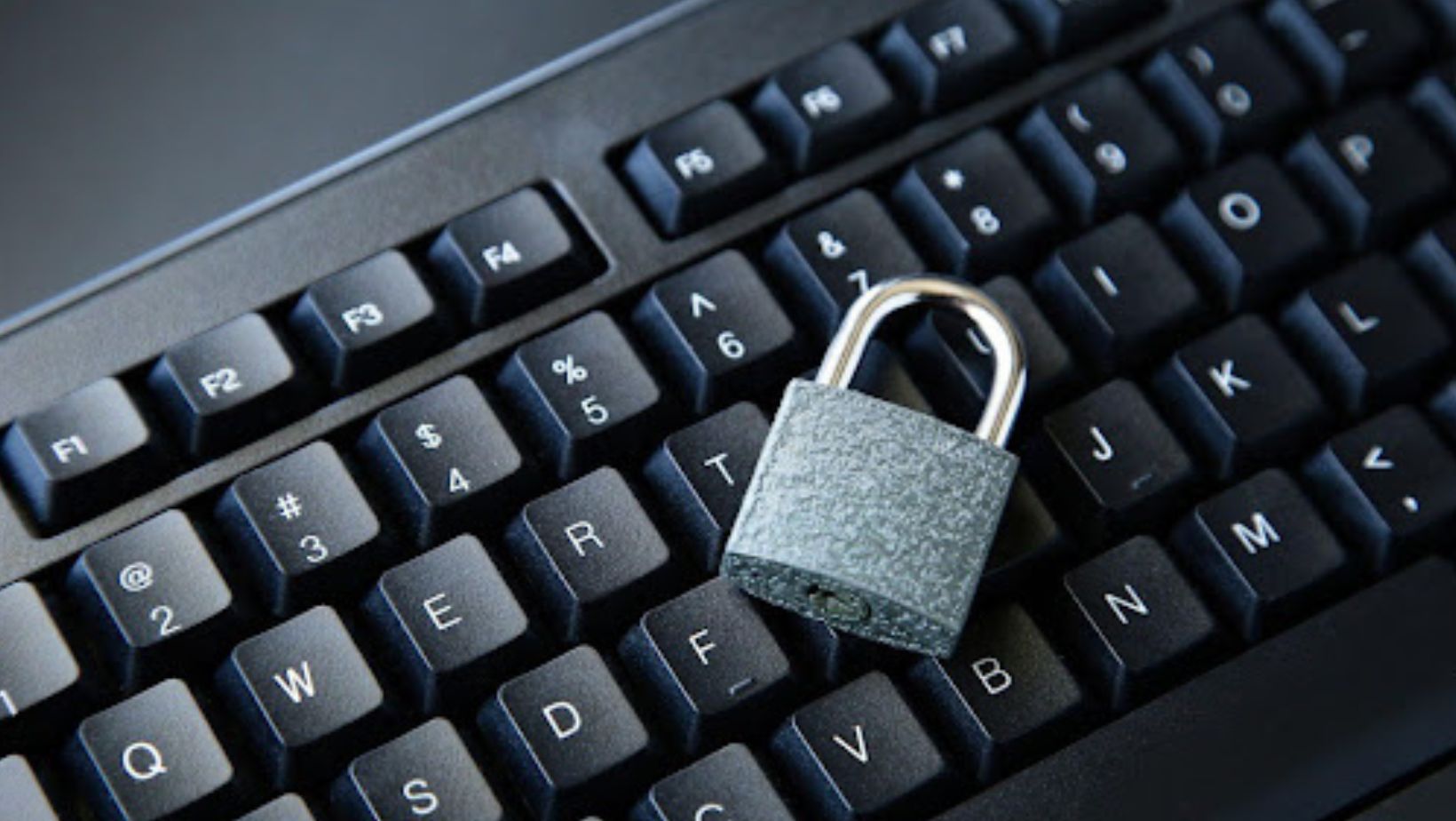 How cyber husky combines technology and expertise to stop cyber attacks