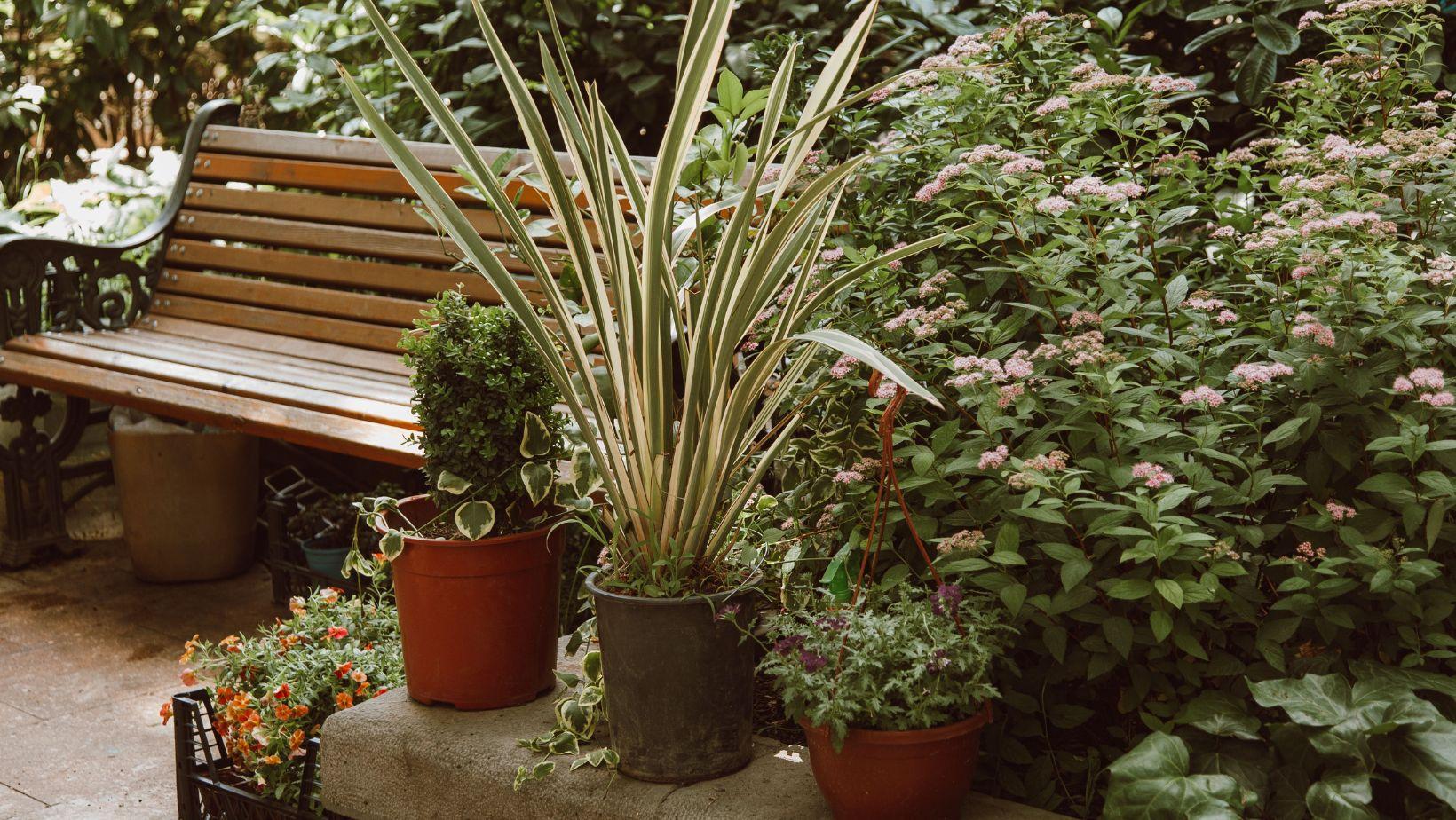 garden design ideas, creating a garden you will love, backyard landscaping tips, personalized garden plans, outdoor garden inspiration, garden planning services, DIY garden creation, urban garden design, garden renovation experts, sustainable garden solutions