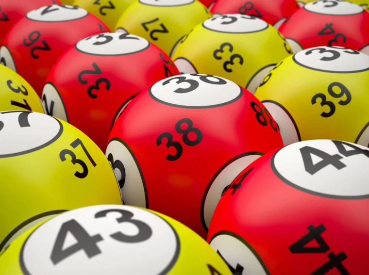 Kucing Togel.net