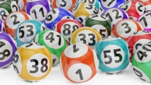 Kucing Togel.net
